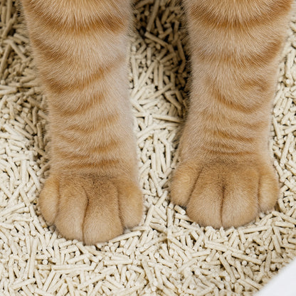 Honestly Better Cat Litter